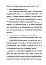 Referāts 'Mikrouzņēmuma nodoklis', 10.