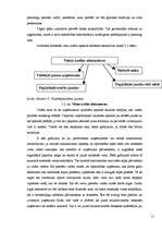 Referāts 'Uzņēmējdarbības vietas izvēle', 11.