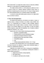 Referāts 'Uzņēmējdarbības vietas izvēle', 12.