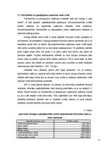 Referāts 'Uzņēmējdarbības vietas izvēle', 17.