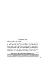 Referāts 'Uzņēmējdarbības vietas izvēle', 19.