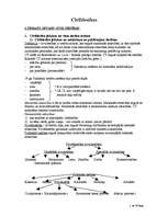 Konspekts 'Civiltiesības', 1.