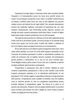 Paraugs 'Transporta uzdevumu risināšana ar potenciālo metodi', 3.