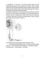 Referāts 'Grunts', 7.