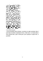 Referāts 'Grunts', 8.