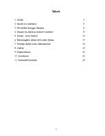 Referāts 'Datoru kaitīgā ietekme uz cilvēkiem', 2.