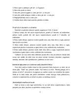 Referāts 'Datoru kaitīgā ietekme uz cilvēkiem', 12.