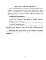 Referāts 'Datoru kaitīgā ietekme uz cilvēkiem', 17.