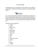 Referāts 'Ieskats mūsdienu gaisa satiksmes biznesā un dažādu aviokompāniju darbības salīdz', 5.