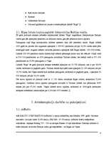 Referāts 'Ieskats mūsdienu gaisa satiksmes biznesā un dažādu aviokompāniju darbības salīdz', 6.