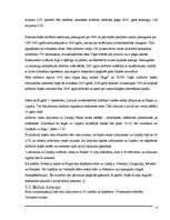 Referāts 'Ieskats mūsdienu gaisa satiksmes biznesā un dažādu aviokompāniju darbības salīdz', 8.