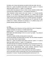 Referāts 'Ieskats mūsdienu gaisa satiksmes biznesā un dažādu aviokompāniju darbības salīdz', 11.