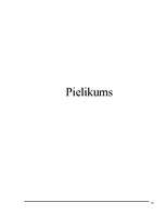 Referāts 'Ieskats mūsdienu gaisa satiksmes biznesā un dažādu aviokompāniju darbības salīdz', 22.