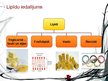 Prezentācija 'Dabas vielas: lipīdi', 4.