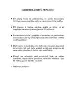 Referāts 'Ietekme uz pašvaldībām Latvijā pēc Eiropas Savienības paplašināšanās', 2.