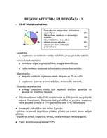 Referāts 'Ietekme uz pašvaldībām Latvijā pēc Eiropas Savienības paplašināšanās', 5.