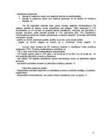 Referāts 'Ietekme uz pašvaldībām Latvijā pēc Eiropas Savienības paplašināšanās', 17.