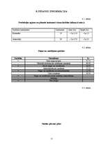 Biznesa plāns 'Biznesa plāns', 13.