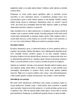 Konspekts 'Tarsālā kanāla sindroms', 8.