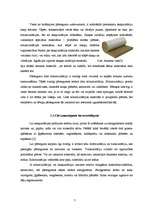 Referāts 'Koka siju pārsegums', 7.