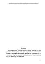 Referāts 'PVC pakešlogu un durvju tirdzniecības nozares tirgus analīze Liepājas rajonā', 17.