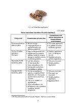 Referāts 'Maizes iepakošana', 9.