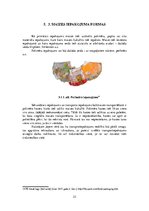 Referāts 'Maizes iepakošana', 23.