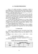 Referāts 'Maizes iepakošana', 24.