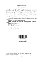 Referāts 'Maizes iepakošana', 32.