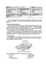 Referāts 'Atkritumi', 6.