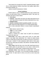 Konspekts 'Viesmīlības industrijas raksturojums un viesnīcu klasifikācija', 4.