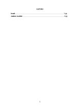 Referāts 'Kontentanalīze', 2.