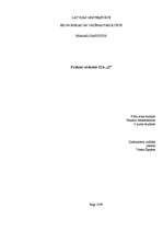 Prakses atskaite 'Prakses atskaite uzņēmumā SIA "Z"', 1.