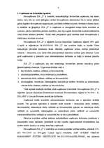 Prakses atskaite 'Prakses atskaite uzņēmumā SIA "Z"', 4.