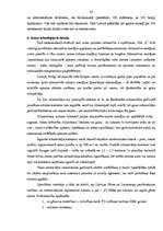 Prakses atskaite 'Prakses atskaite uzņēmumā SIA "Z"', 22.