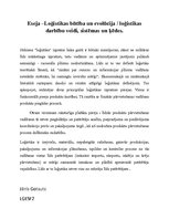 Eseja 'Loģistikas būtība un evolūcija. Loģistikas darbību veidi, sistēmas un ķēdes', 1.