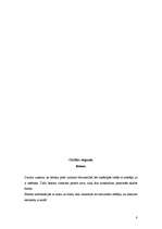 Referāts 'Interjera apdares materiāli', 8.