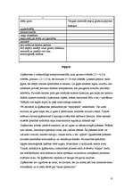 Referāts 'Interjera apdares materiāli', 31.