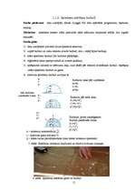 Referāts 'Ziepju burbulis', 11.