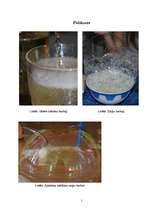 Referāts 'Ziepju burbulis', 33.