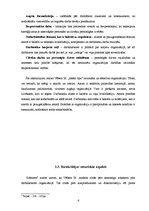 Referāts 'Maksa Vēbera darbs "Ideālās birokrātijas principi" un mūsdienas', 6.