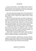 Referāts 'Maksa Vēbera darbs "Ideālās birokrātijas principi" un mūsdienas', 13.