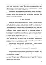 Referāts 'Veļas kopšanas līdzekļu piedāvājums Latvijā un Eiropā', 7.