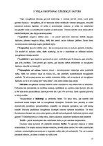 Referāts 'Veļas kopšanas līdzekļu piedāvājums Latvijā un Eiropā', 10.