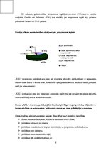 Referāts 'Uzņēmuma vadība un organizācija', 6.