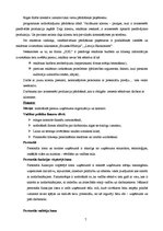 Referāts 'Uzņēmuma vadība un organizācija', 7.