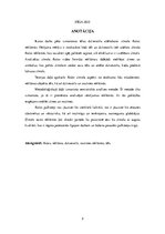 Referāts 'Izmantotie tēli dzīvesstila attēlošanai zīmola "Rolex" reklāmās', 2.