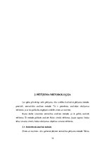 Referāts 'Izmantotie tēli dzīvesstila attēlošanai zīmola "Rolex" reklāmās', 12.