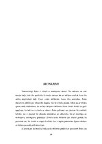 Referāts 'Izmantotie tēli dzīvesstila attēlošanai zīmola "Rolex" reklāmās', 28.