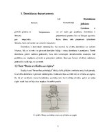 Referāts 'Pašizpētes darbs personības psiholoģijā', 4.